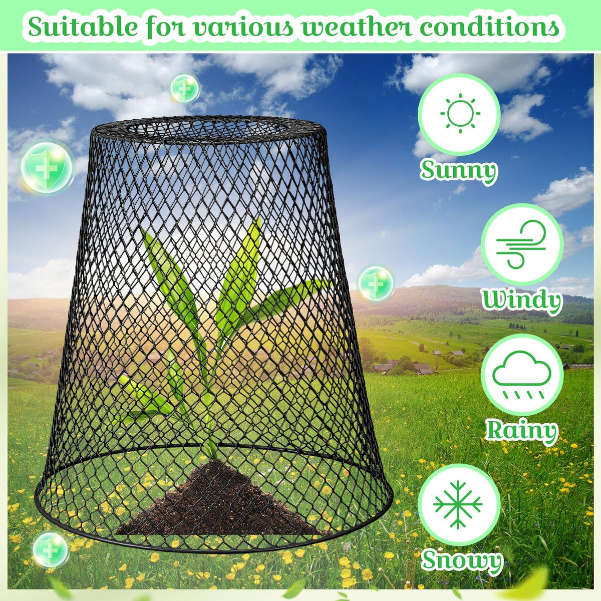 Therwen indoor potted-plant use cloche protects houseplants from pets