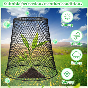 Therwen indoor potted-plant use cloche protects houseplants from pets
