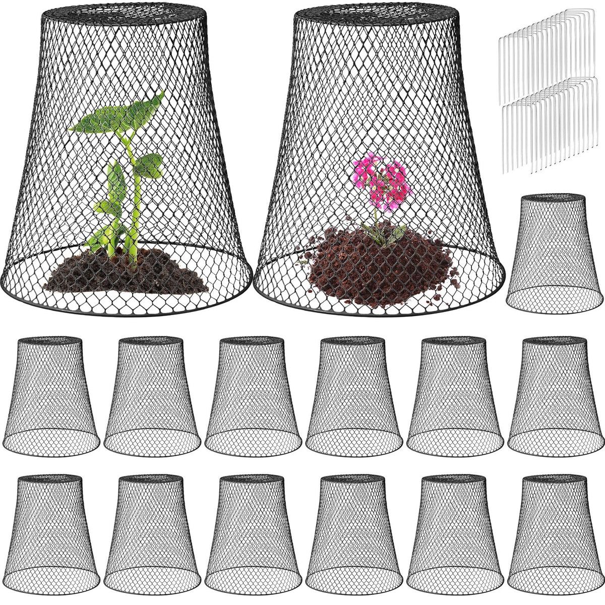 Therwen large cloche base 12-inch protects seedlings while allowing sunlight