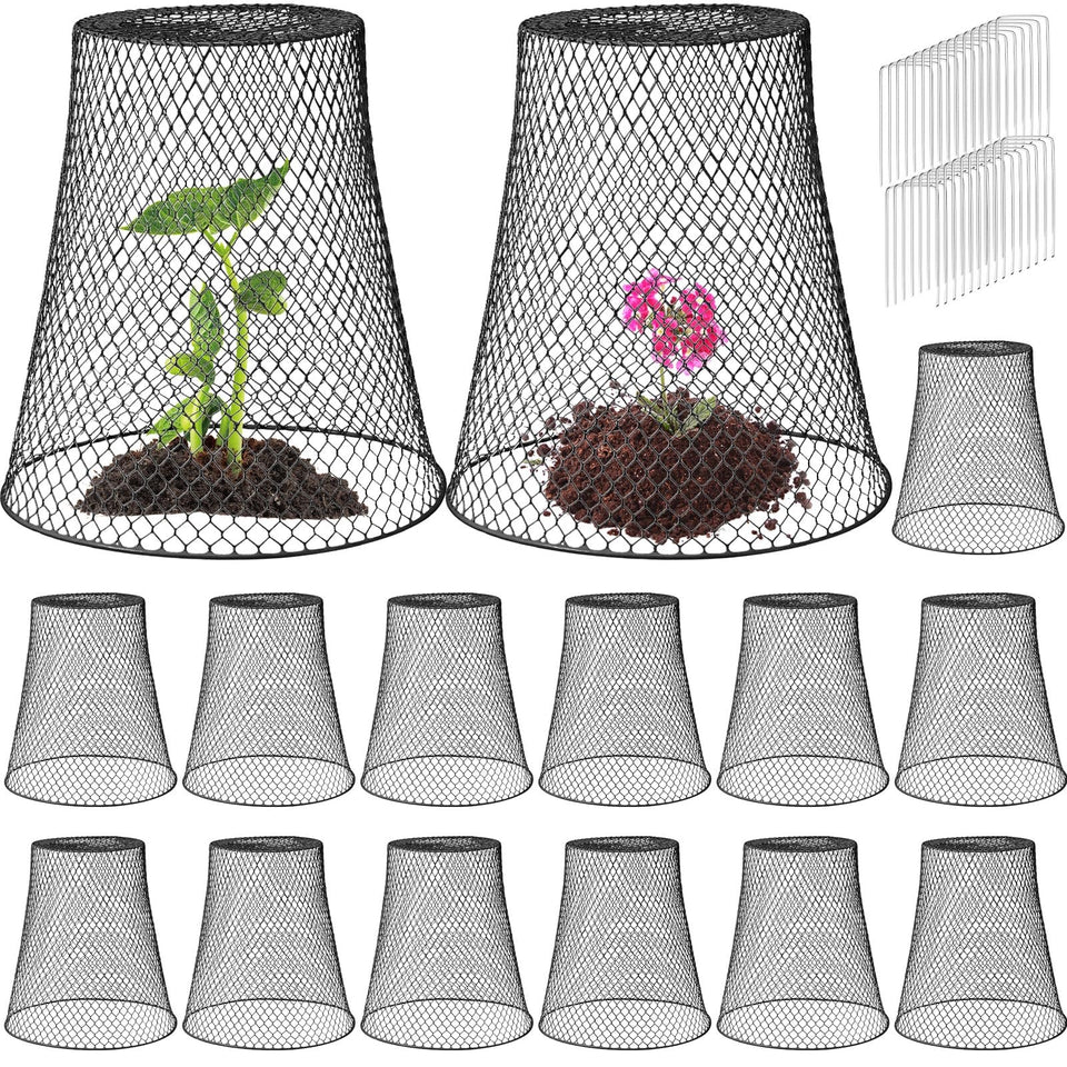 Therwen large cloche base 12-inch protects seedlings while allowing sunlight