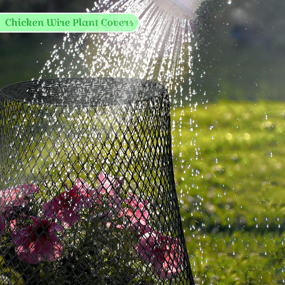 Therwen outdoor seedling protection cloche shields young plants from wildlife