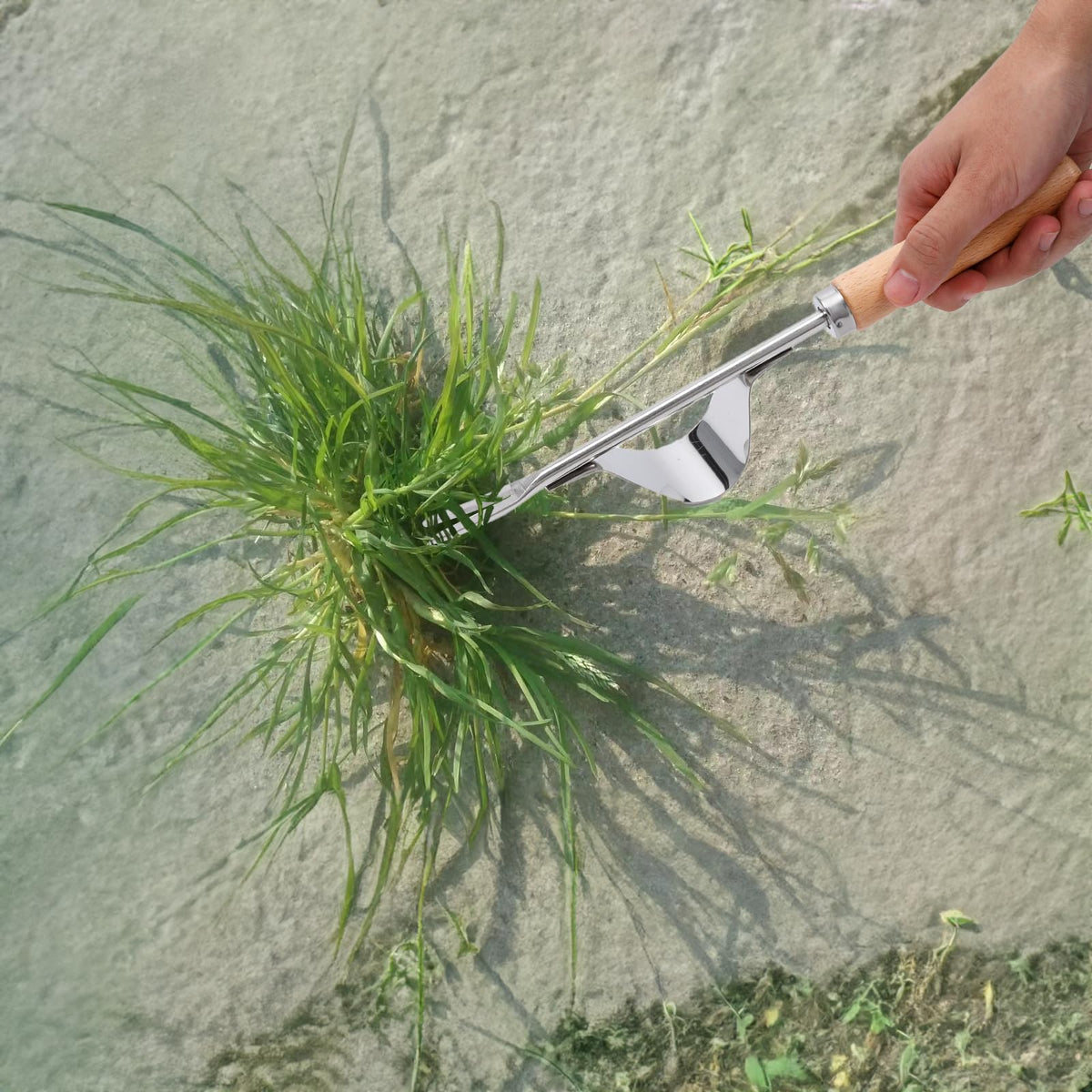 Theuzi lawn edger and driveway crack sickle reaches between pavers