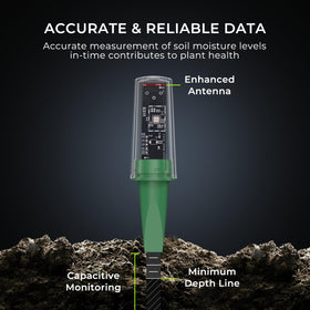 Capacitive moisture readings resist soil salinity for durable garden data