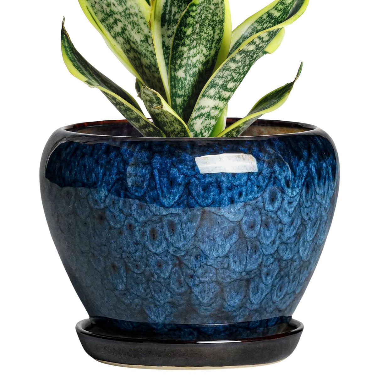 Thirtypot 6-inch plant pot with drainage hole and saucer for healthy root care