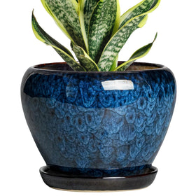 Thirtypot 6-inch plant pot with drainage hole and saucer for healthy root care