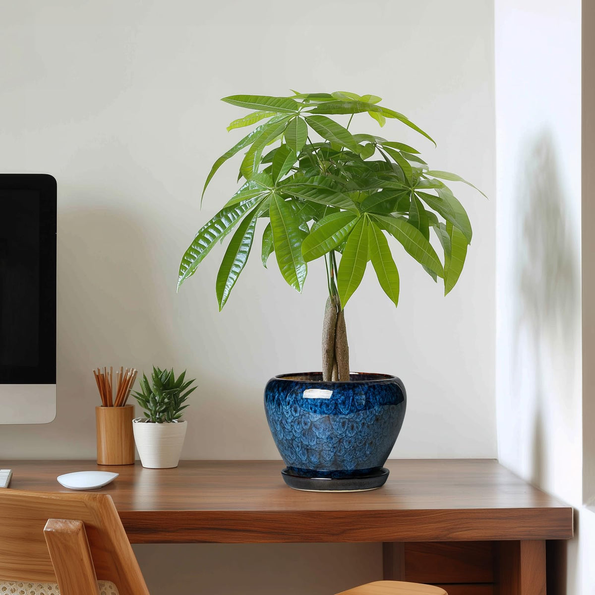 Thirtypot makes a thoughtful gift for plant lovers