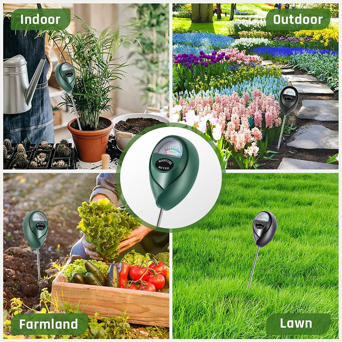 Gives quick insights to avoid overwatering and under-watering across pots.