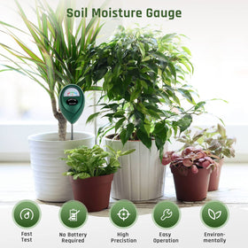 Thlevel probe in soil delivers root-level moisture insight.