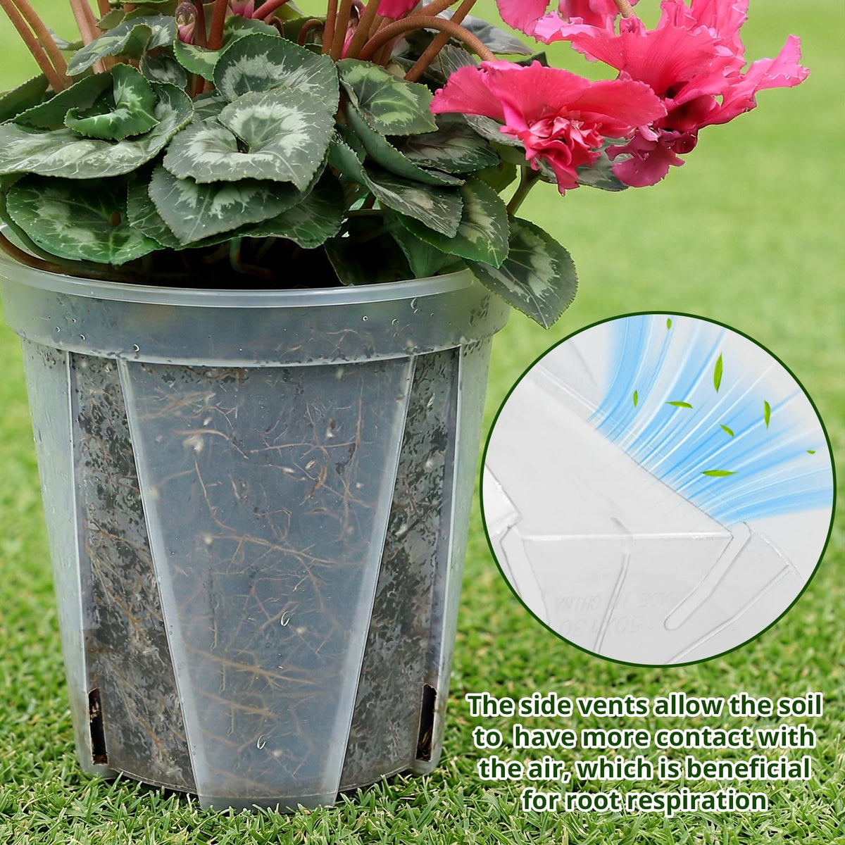 THMFHMW 10-inch clear nursery pot offering room for big houseplants.