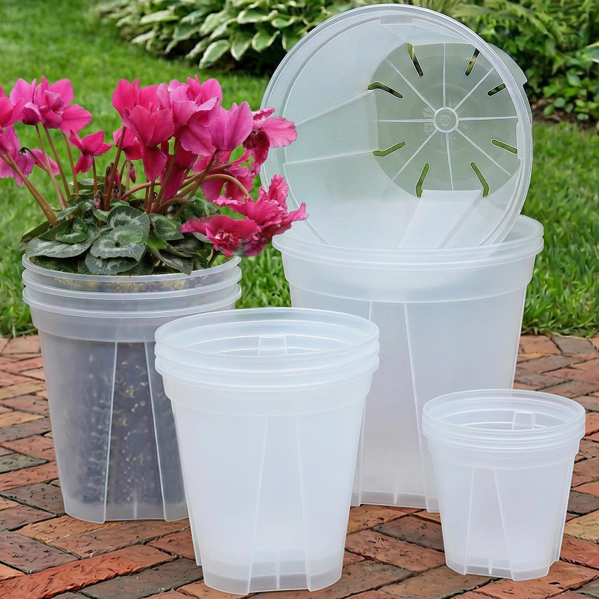 THMFHMW 6-inch clear nursery pot with drainage for healthy root growth.