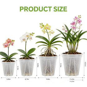 THMFHMW 8-inch clear nursery pot for larger plants and easy watering.