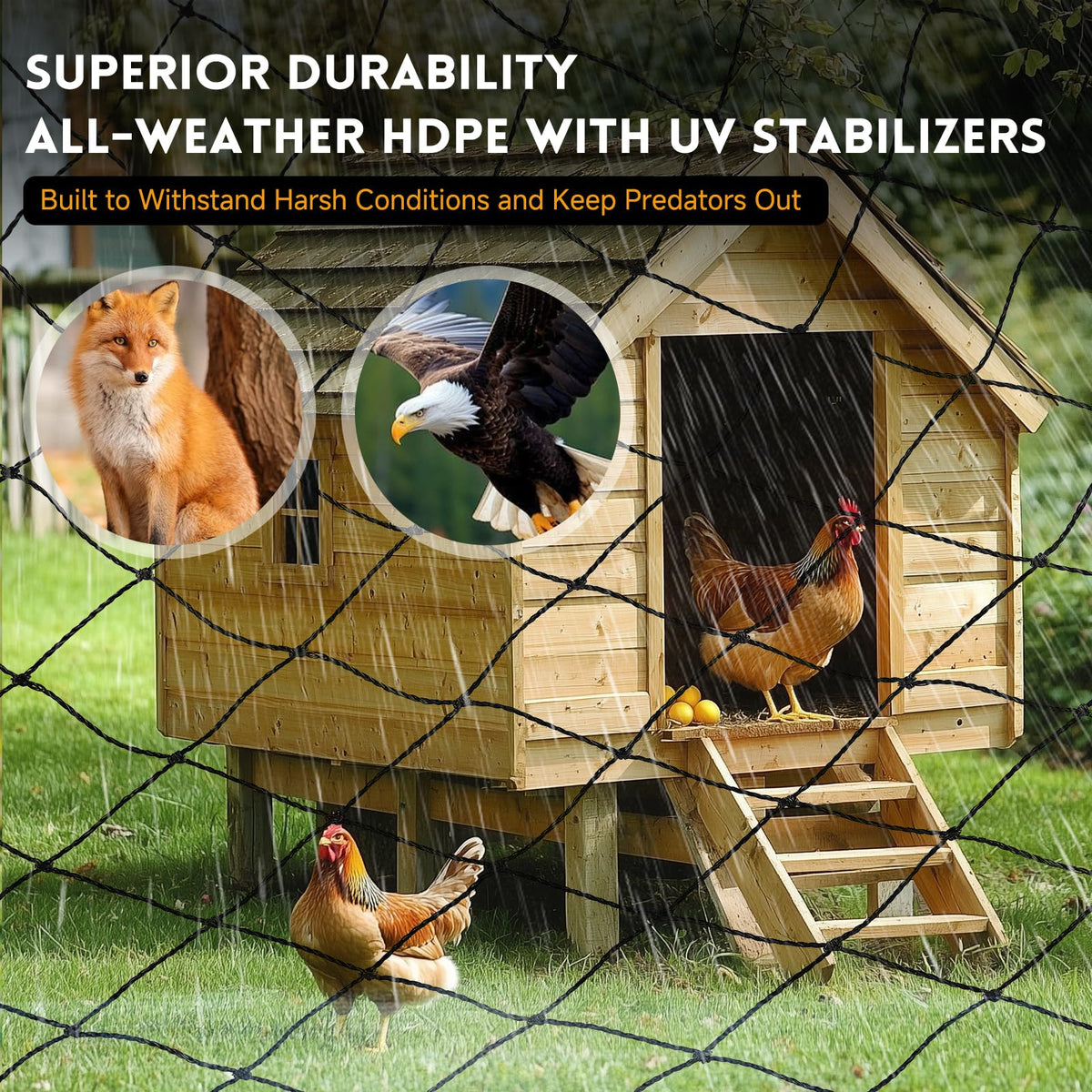 Threekia hawk-deterrent netting guards chickens without blocking sun.