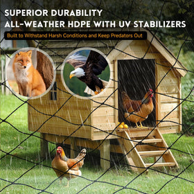 Threekia hawk-deterrent netting guards chickens without blocking sun.