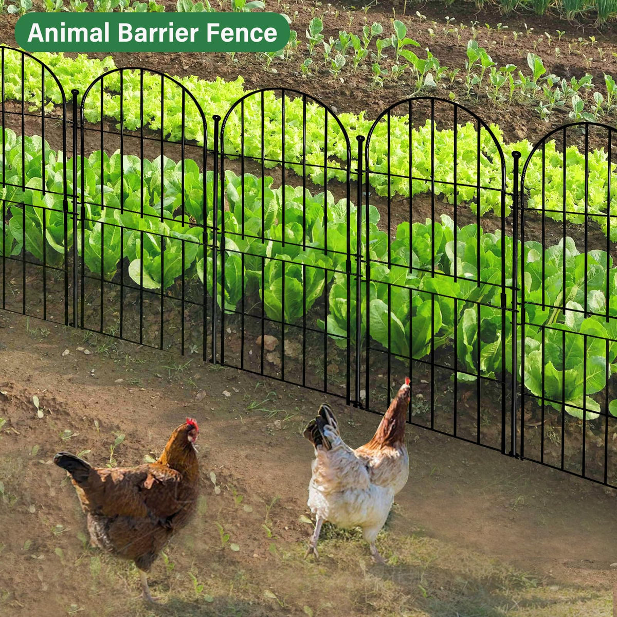 Thrivinest animal barrier fence adds elegant detail while deterring rabbits and dogs.