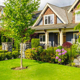 Thrivinest garden border fence helps define plant areas and keep pets curious away.