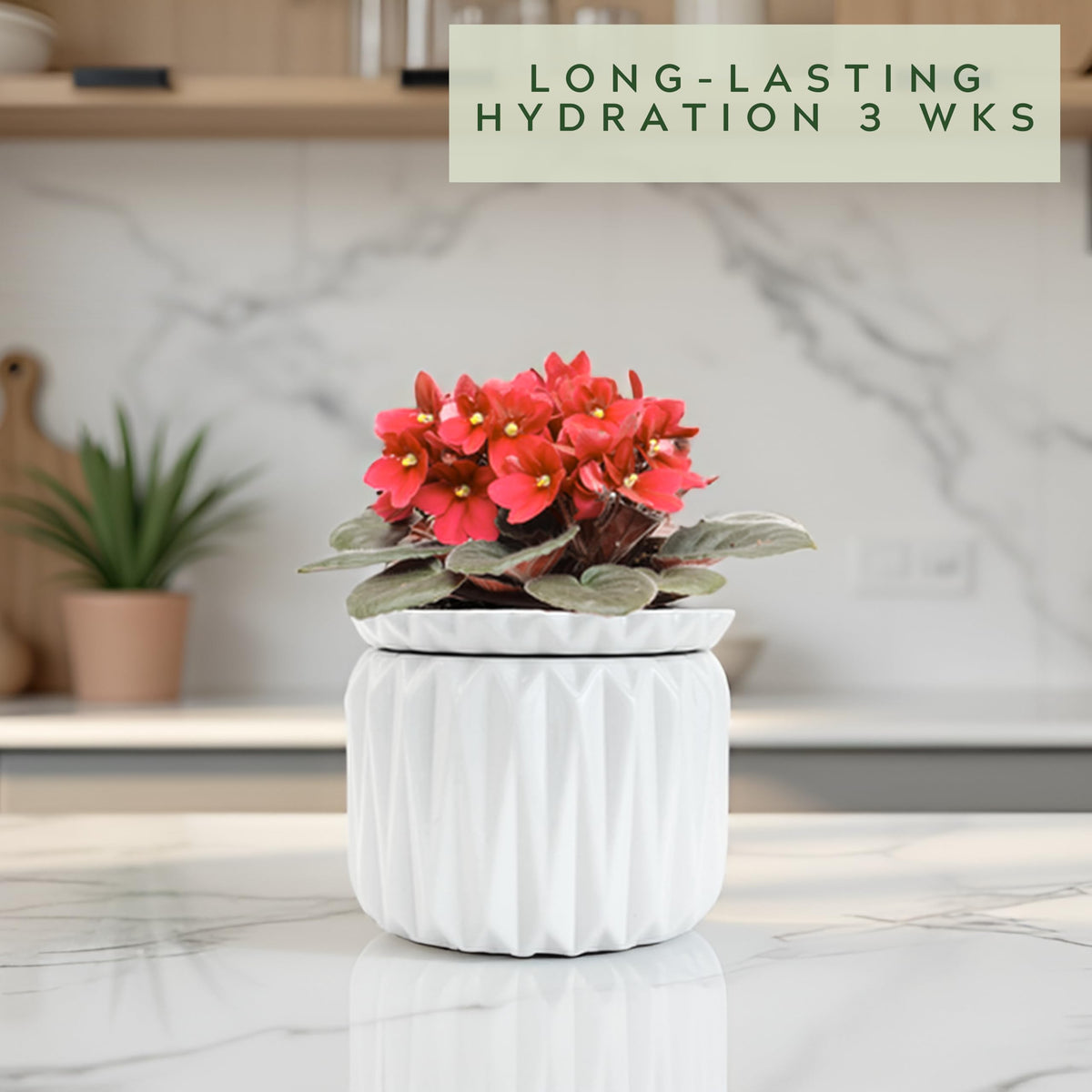 Thriving Thicket pot interior fill lines guide you to the right water level.