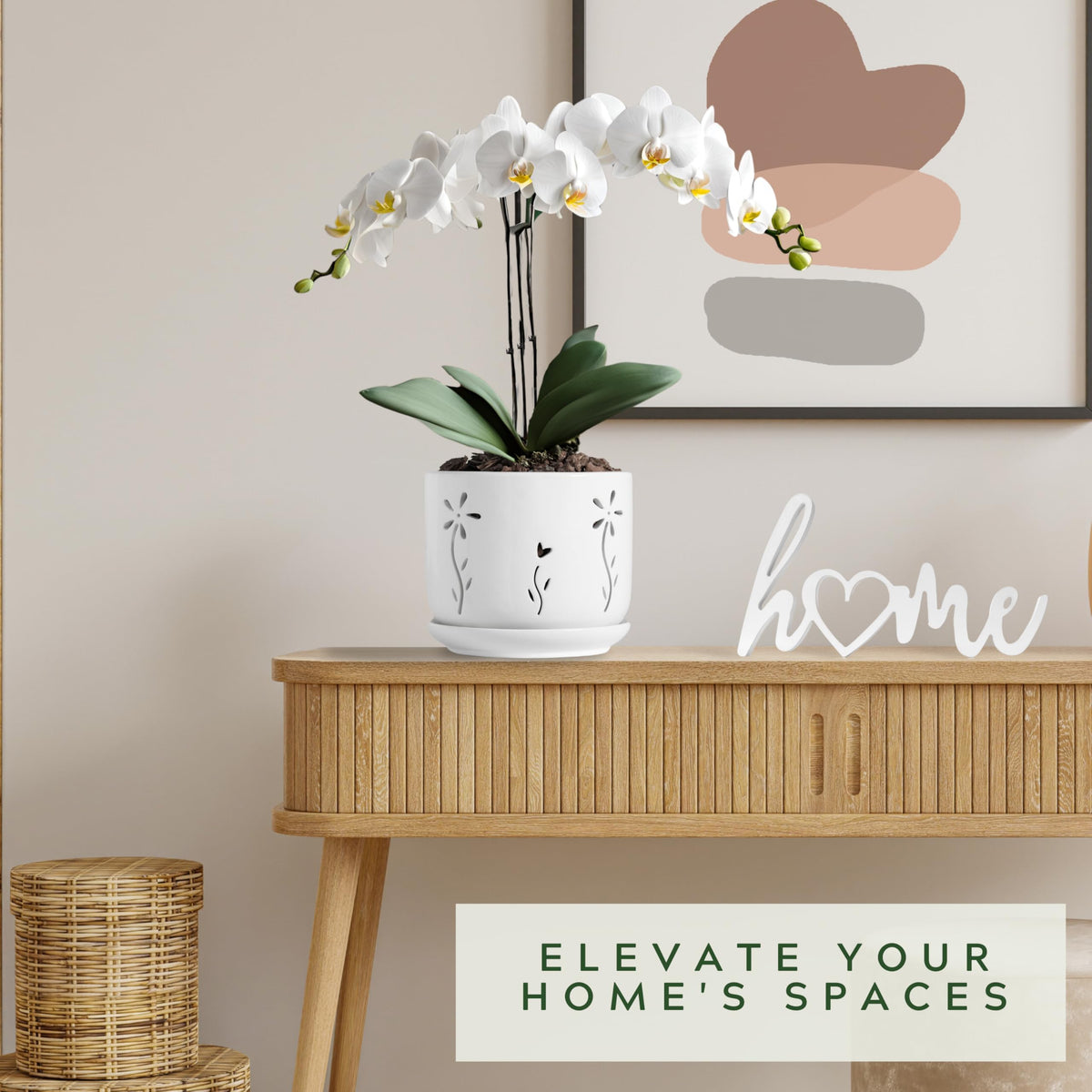 Thriving Thicket ceramic orchid pot with drainage holes promotes airflow