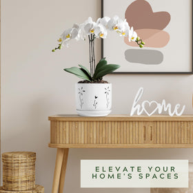 Thriving Thicket ceramic orchid pot with drainage holes promotes airflow