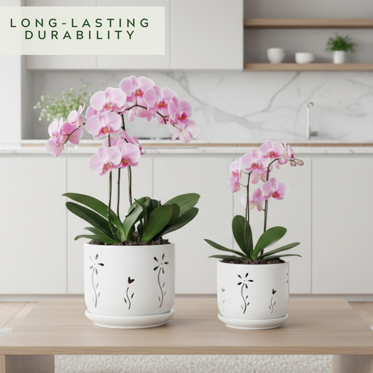 Thriving Thicket ceramic pot saucer set protects surfaces during watering