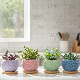 Thriving Thicket colorful pots ideal as gifts for plant lovers.