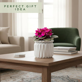 Thriving Thicket gift-ready packaging ensures safe arrival and display-ready presentation.