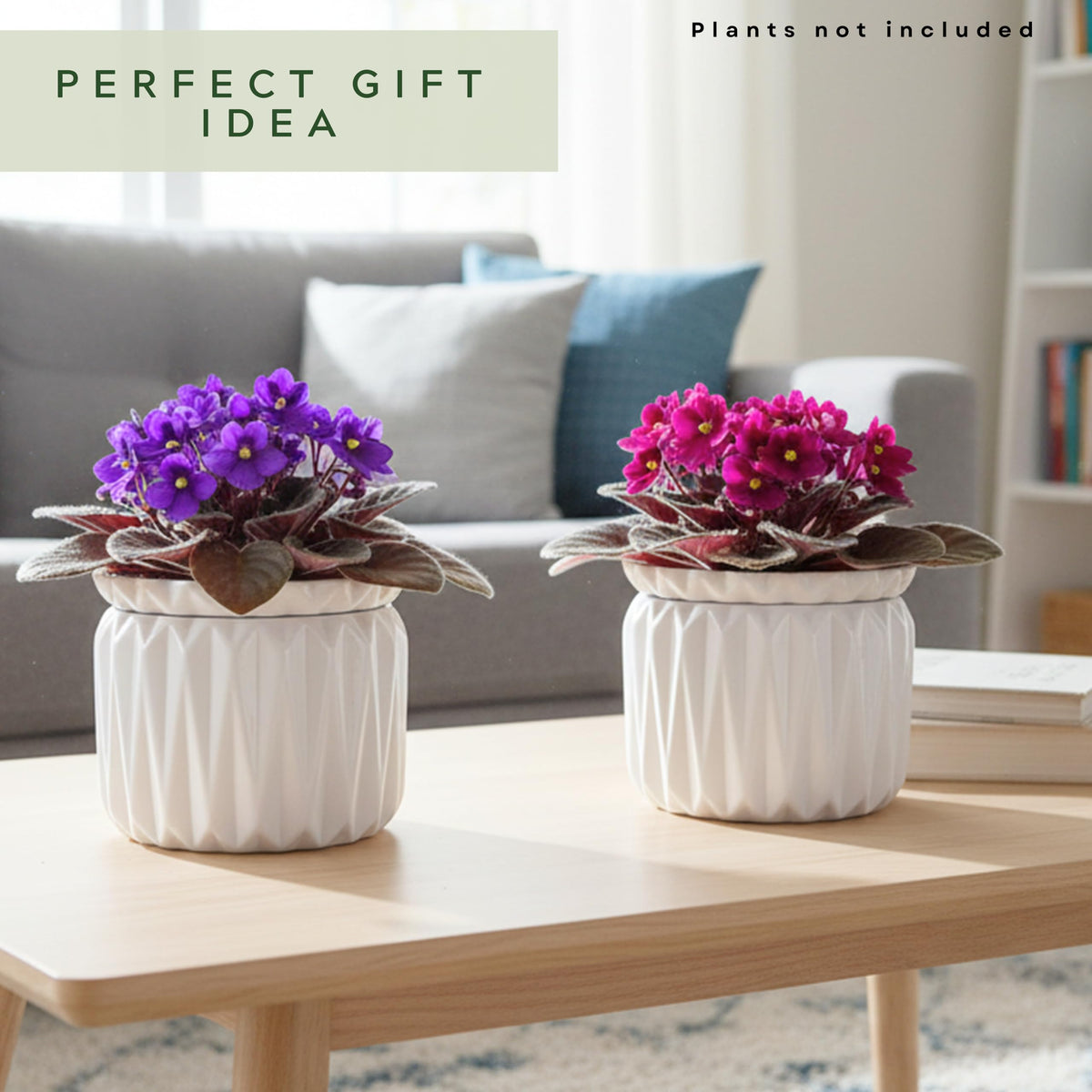 Thriving Thicket gift-ready packaging protects the pots during transit.