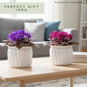 Thriving Thicket gift-ready packaging protects the pots during transit.