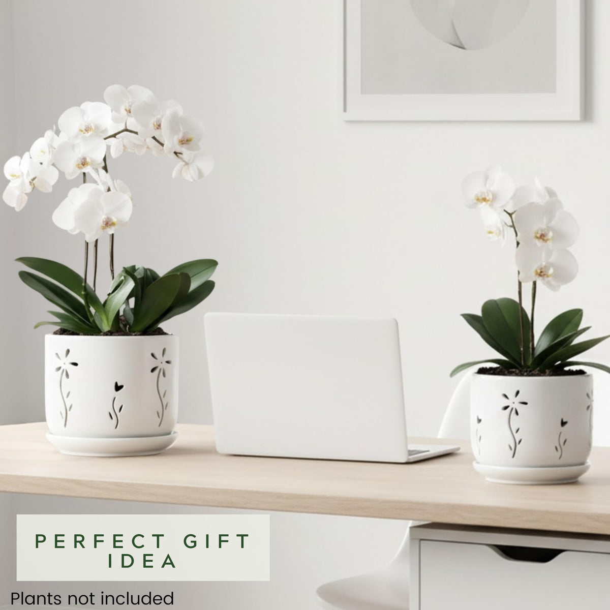 Thriving Thicket careful packaging ensures safe delivery of fragile ceramics