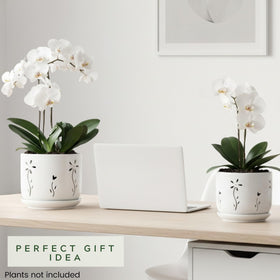 Thriving Thicket careful packaging ensures safe delivery of fragile ceramics