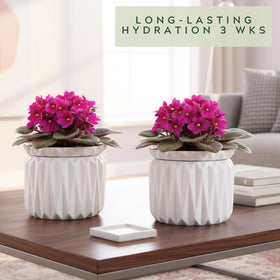 Thriving Thicket premium ceramic finish adds real home decor appeal.