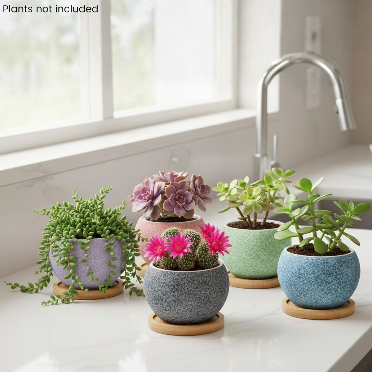 Thriving Thicket six-pack ceramic pots with bamboo saucers for mess-free watering.