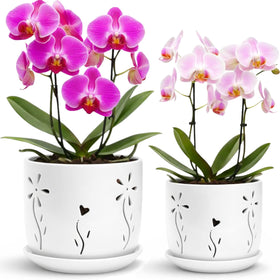 Thriving Thicket 5-inch white orchid pot with clean design for easy repotting