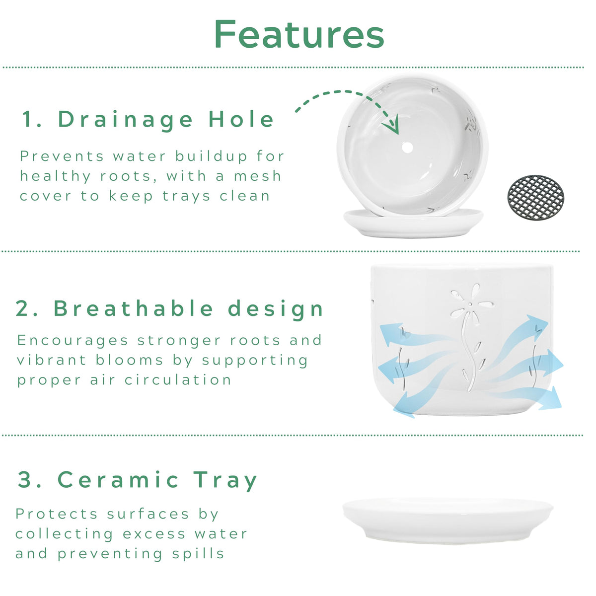 Thriving Thicket 6-inch white orchid pot supports larger plants at home