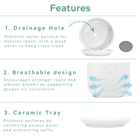 Thriving Thicket 6-inch white orchid pot supports larger plants at home