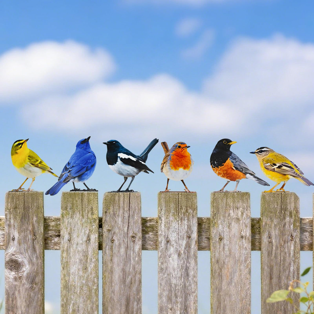 Throjin garden bird sculptures for vibrant yard focal points.
