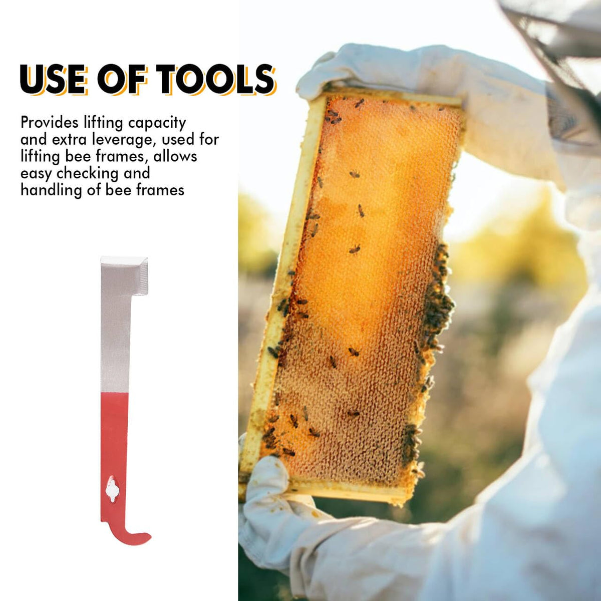 ThxBees frame lifter in action helps loosen frames without damage.