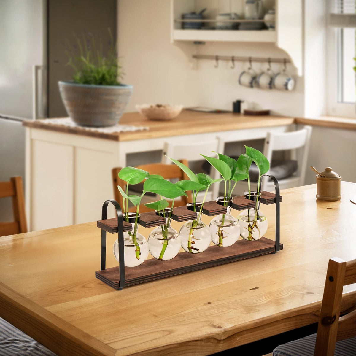 THYGIFTREE propagation station shown on a windowsill as a gift idea for plant lovers.