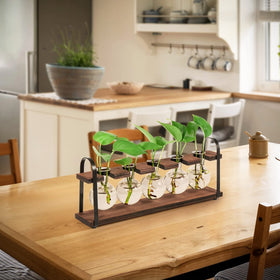THYGIFTREE propagation station shown on a windowsill as a gift idea for plant lovers.