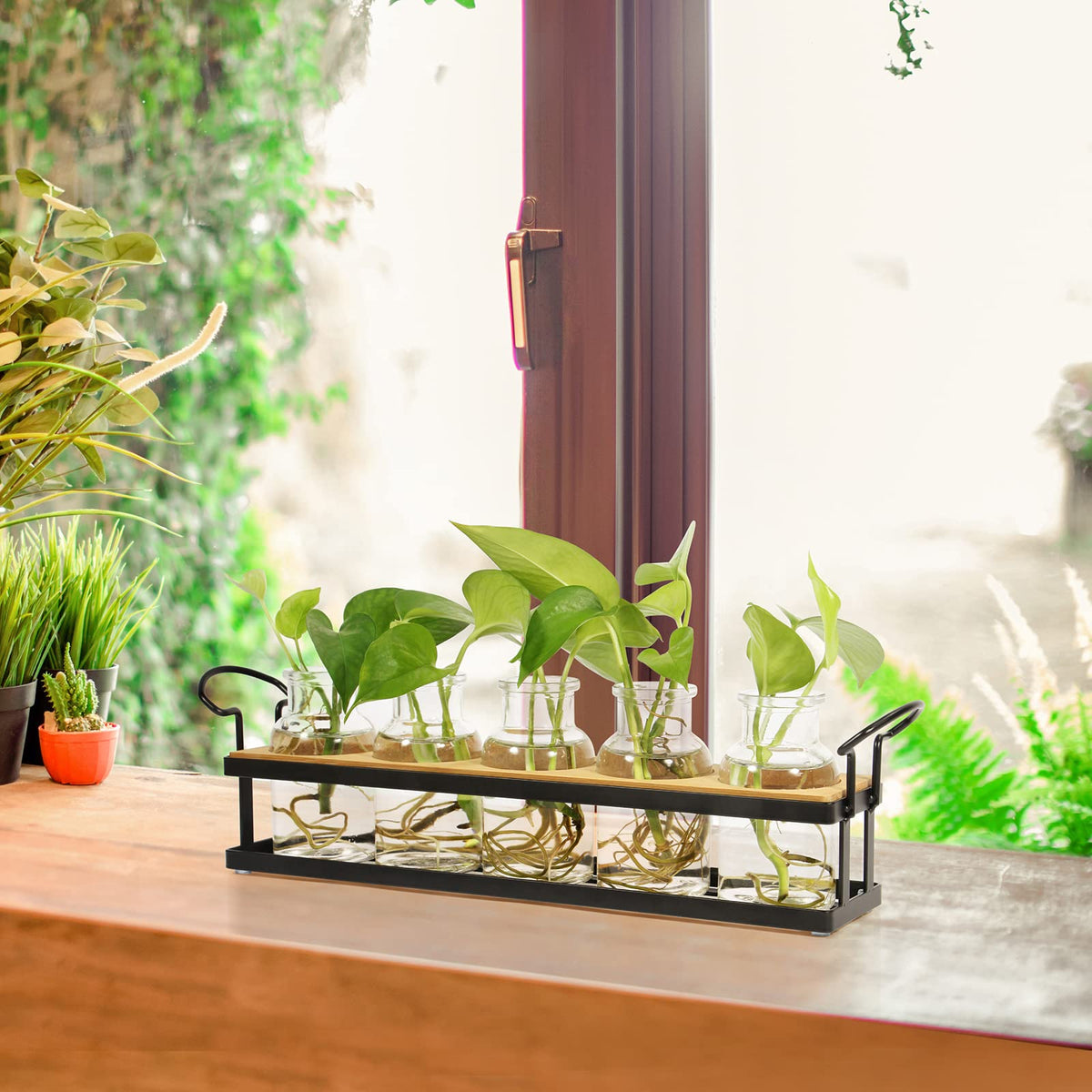 THYGIFTREE wooden stand and jars on bright windowsill