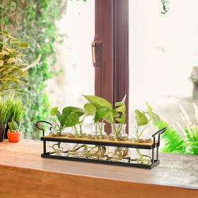 THYGIFTREE wooden stand and jars on bright windowsill