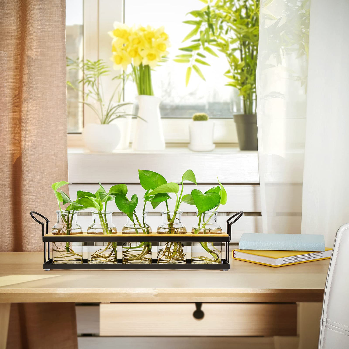 THYGIFTREE desk setup demonstrates compact hydroponic propagation