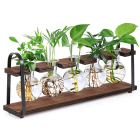 THYGIFTREE propagation station with wooden stand on a desk for easy root observation.