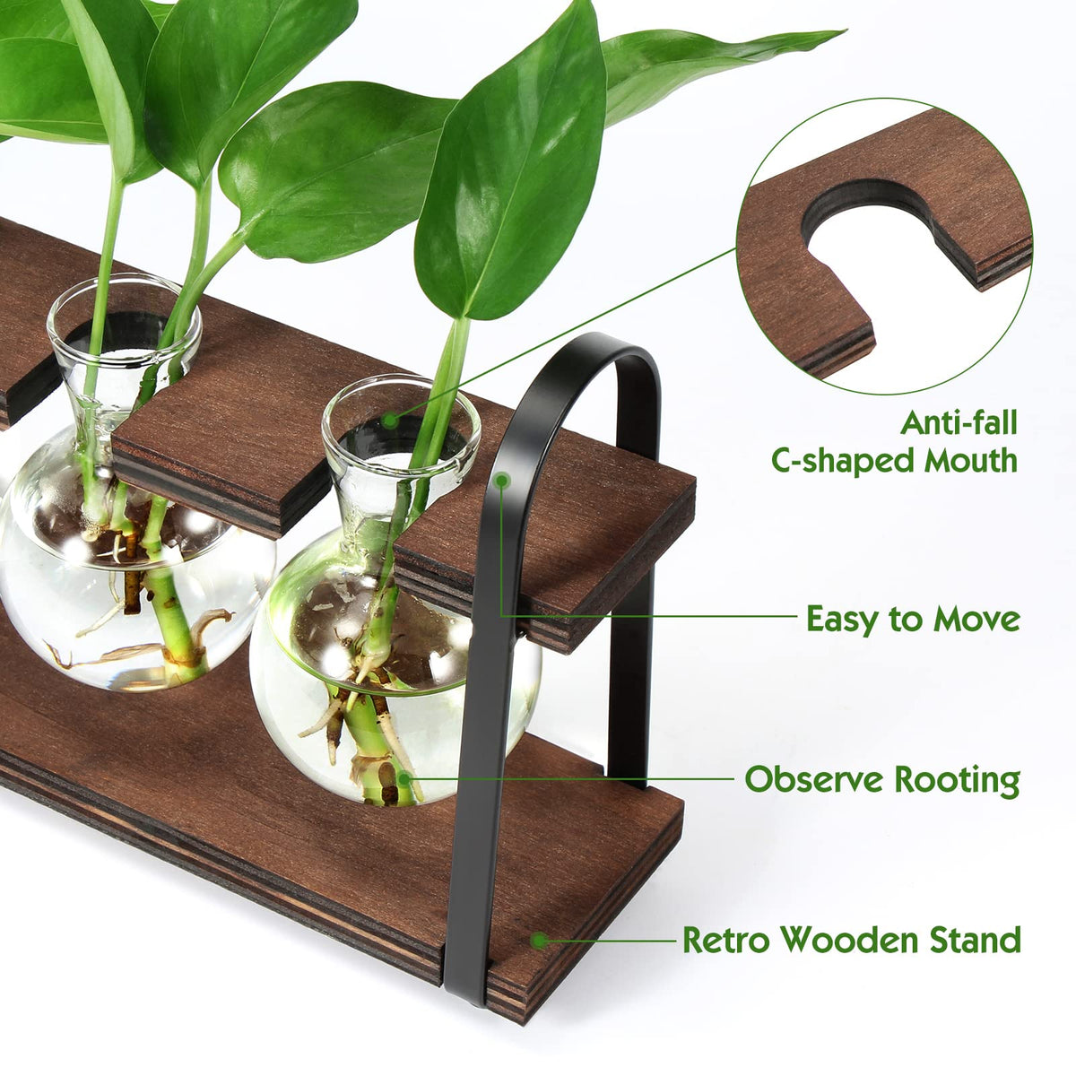 THYGIFTREE retro desktop glass vase highlighting hydroponic roots and stylish desk decor.