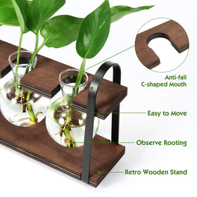 THYGIFTREE retro desktop glass vase highlighting hydroponic roots and stylish desk decor.