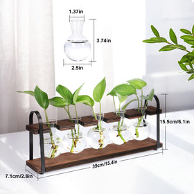 THYGIFTREE tabletop terrarium for hydroponic plants on a compact desk.