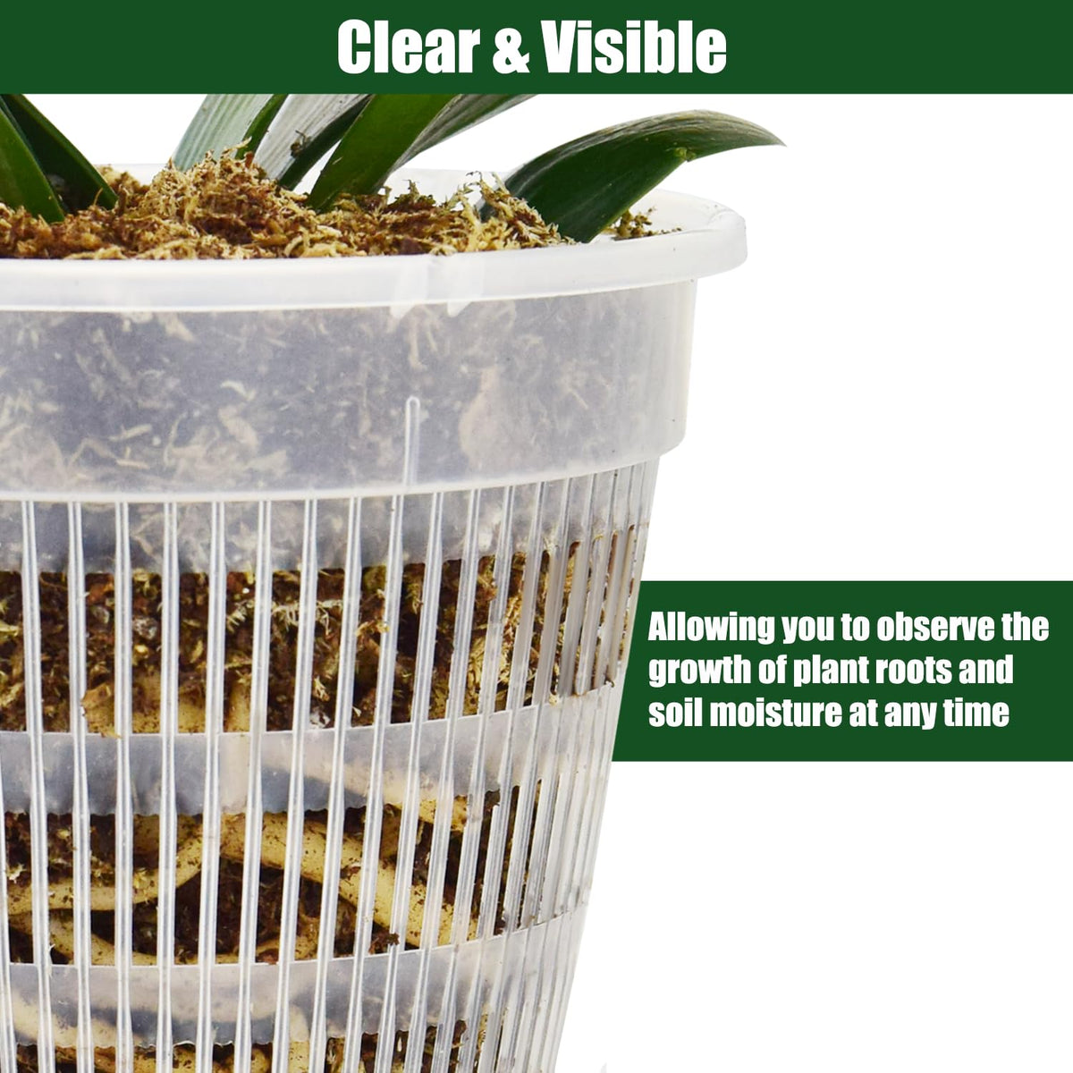 Tialero 10-pack clips for secure pot setup during repotting