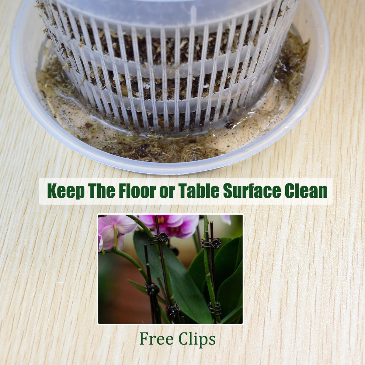 Tialero 5.5-inch orchid pot with clear walls for moisture check