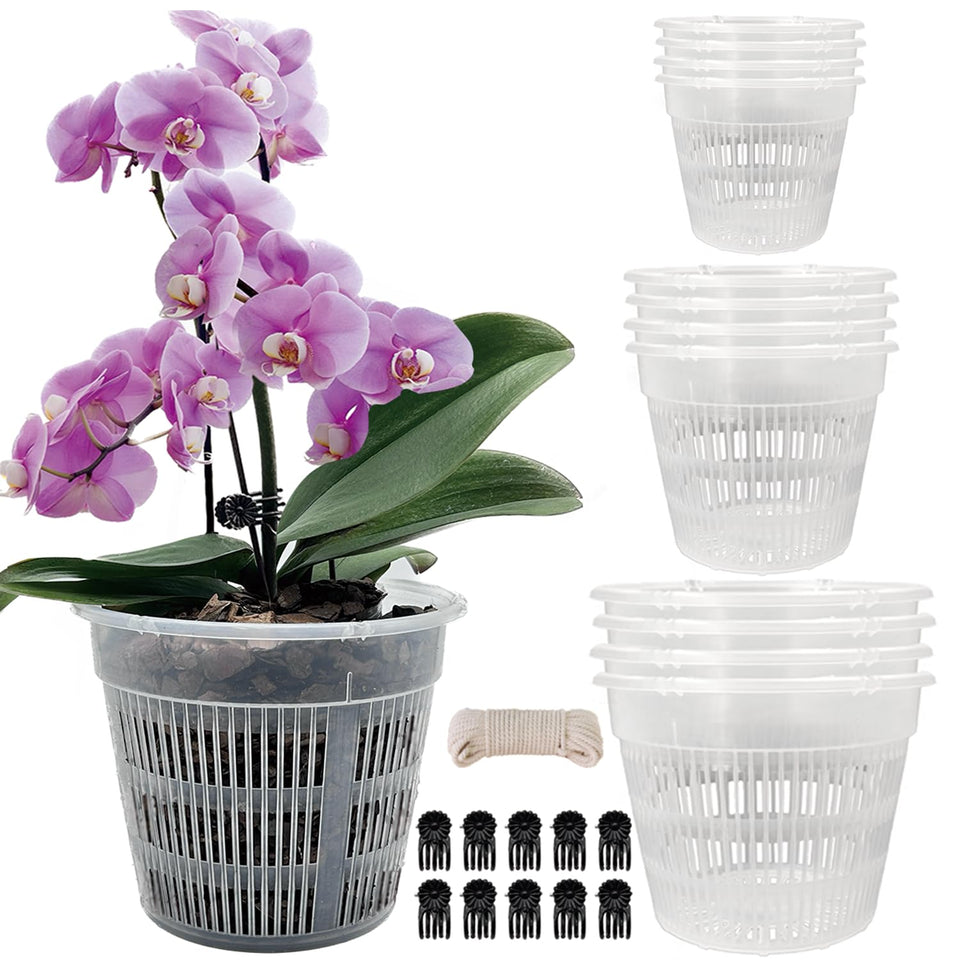 Tialero orchid pot 6-3-inch clear showing root-friendly design for easy repotting
