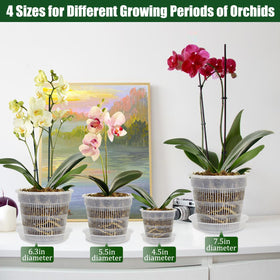 Tialero 6.3-inch orchid pot with clear walls for root observation