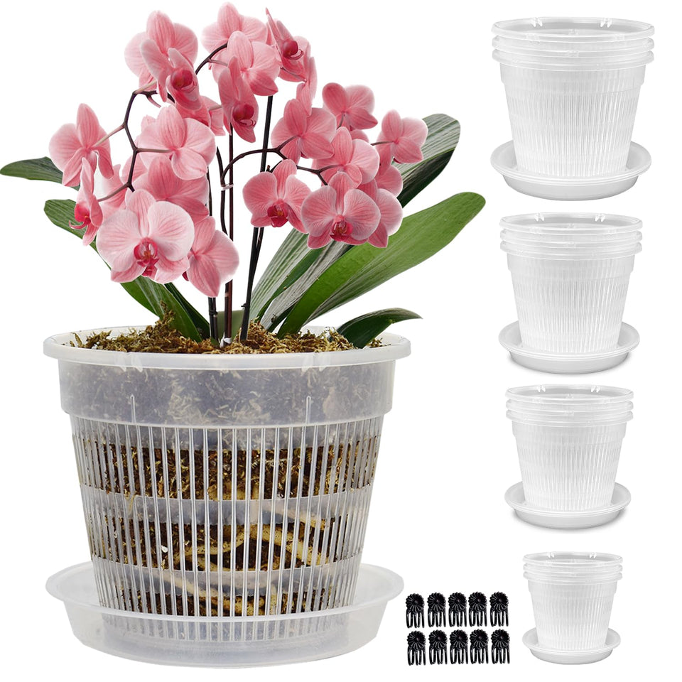 Tialero 7.5-inch orchid pot with clear walls showing roots and drainage